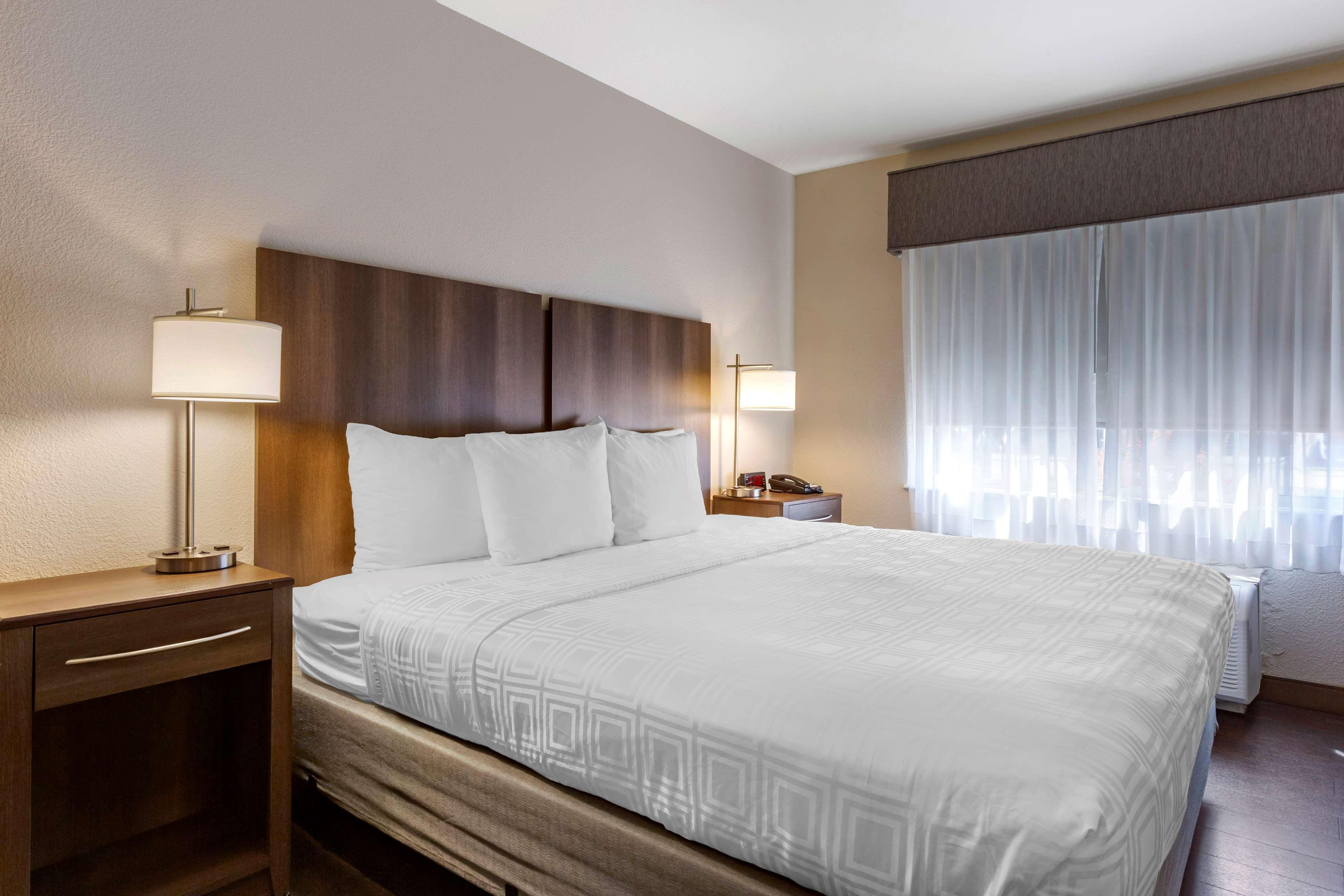 Best Western North Phoenix Hotel Eksteriør billede